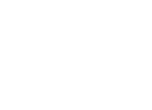 New York State Academy